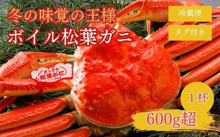 特撰 松葉がに 【タグ付き】 600g超の大きいサイズ 食べ応えあり 1杯 ボイル 松葉ガニ カニ ズワイガニ カニ爪 冷蔵