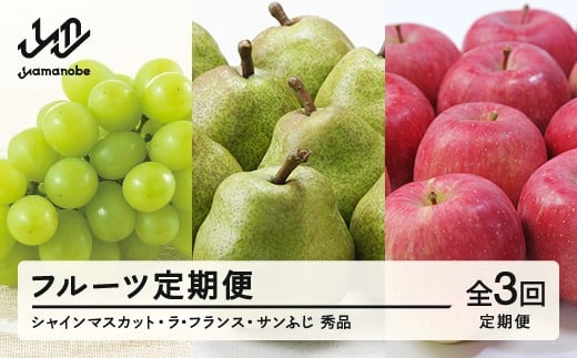 【先行予約】【フルーツ定期便】シャインマスカット ラ・フランス サンふじ 秀品 全3回 ブドウ 葡萄 洋梨 梨 リンゴ りんご 送料無料 tf-ft3blr