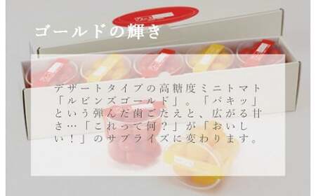 3A15アメーラルビンズ＆ルビンズゴールド　5パック入り