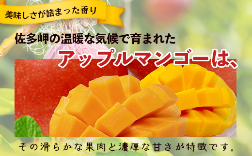≪マンゴー≫ ☆本土最南端☆佐多の果樹園で育てた 完熟アップルマンゴー 1kg (2～3玉) ｜鹿児島県 南大隅 産地直送 旬 マンゴー フルーツ 果物 くだもの V7407