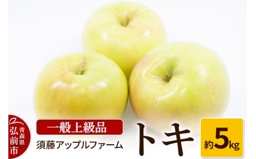 りんご トキ 一般用上級品 約5kg