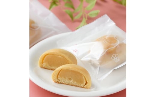 ミルクまんじゅう 佐伯小町 (計10個) 饅頭 まんじゅう ミルクまんじゅう スイーツ お菓子 おやつ 和菓子 個包装 常温 土産 【opbj006】【お菓子のウメダ】