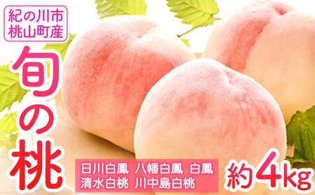 【先行予約】和歌山の桃 約4kg (約12~15玉入) 岸武青果株式会社《2025年6月下旬-8月末頃出荷》｜桃 もも モモ フルーツ 果物 白鳳 清水白桃 川中島白桃  和歌山県産の桃 紀の川市の桃 和歌山の桃