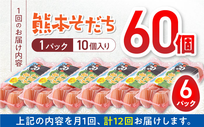 【全12回定期便】熊本県産 熊本そだち 60個入り ( 10個入り × 6パック ) 山都町 たまご 卵【蘇陽農場】 [YBE036]