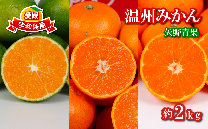 温州みかん 小玉 中玉 約2kg 矢野青果 極早生 早生 南柑20号 フルーツ 柑橘 蜜柑 mikan 温州 うんしゅう わせ 早生みかん 極早生みかん 果物 くだもの みかん 人気のみかん 美味しい