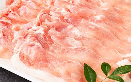 天元豚しゃぶしゃぶ用740g F2Y-6595