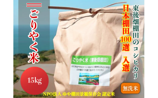 (1343)【令和6年度産先行予約】無洗米　玄米相当分　こしひかり　15kg　「ごりやく米」　棚田米　東後畑