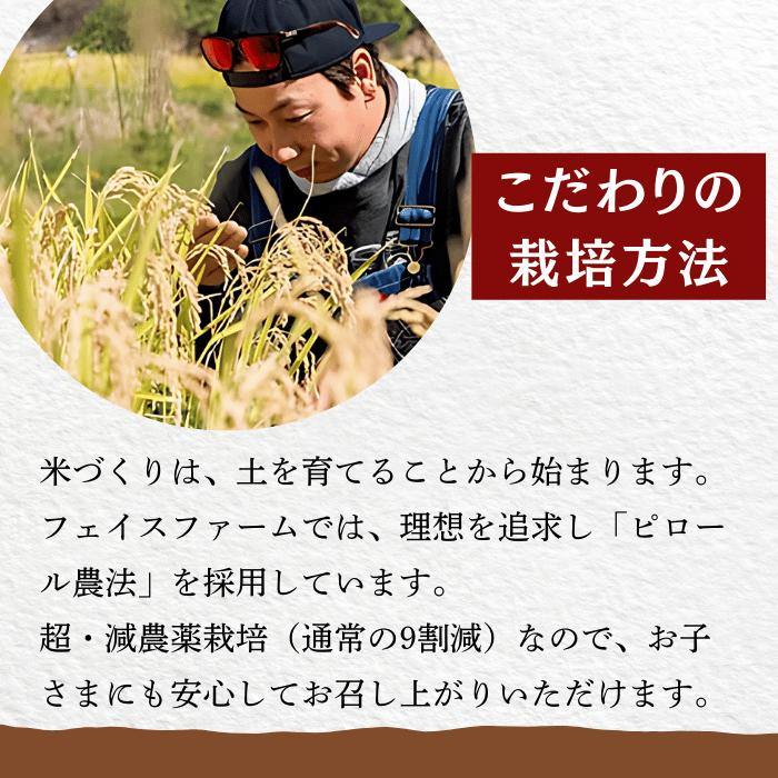 【先行予約】<令和７年産新米>極上のコシヒカリ「708米（なおやまい）【黒】」玄米20kg (7-37)