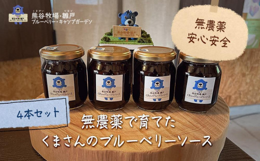 
                  【お歳暮】【湯布院 熊谷牧場・雛戸】無農薬で育てたくまさんのブルーベリーソース 4本セット
                