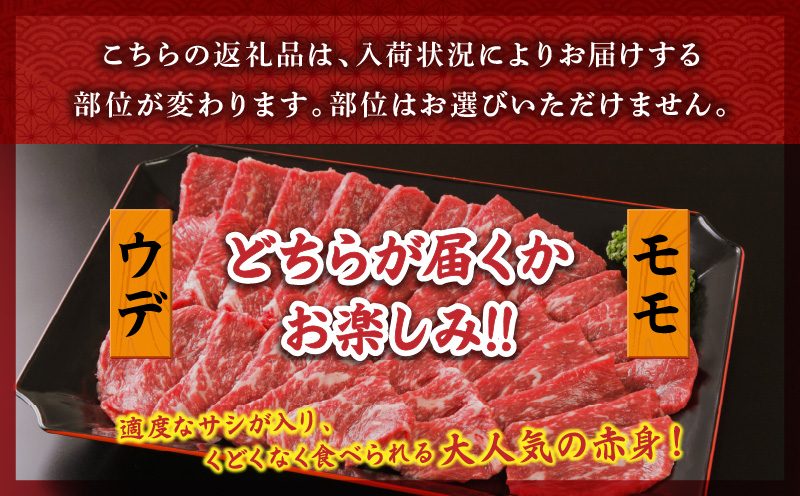 宮崎牛 モモ or ウデ 赤身焼肉1kg