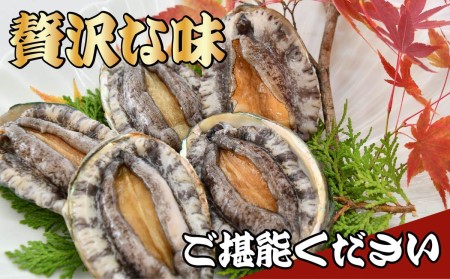 活 あわび 10個 セット 海鮮 鮑 貝 海の幸 高級 グルメ 料理 食材 食品 高級 贅沢 静岡県 藤枝市 ( 人気あわび ふるさと納税あわび ふるさとあわび furusatoあわび おすすめあわび