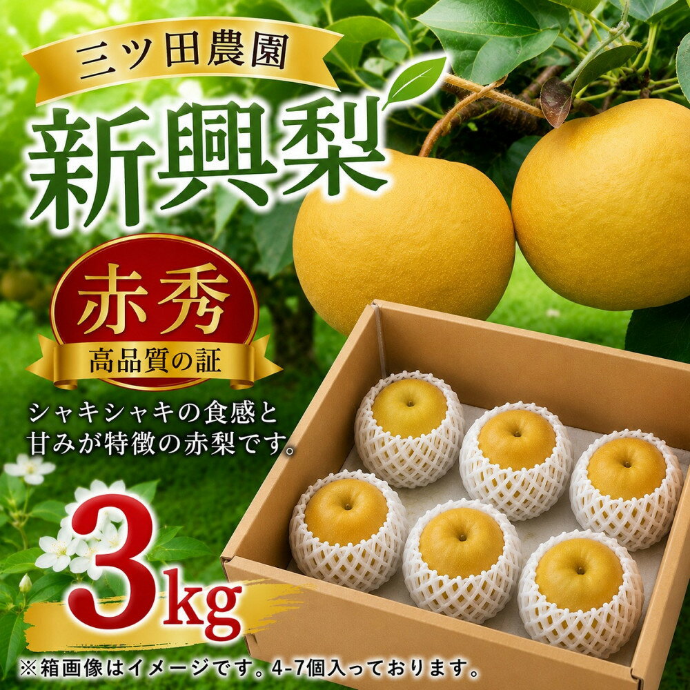 【ふるさと納税】三ツ田農園 新興梨(赤秀)3kg(10月上旬から発送） | フルーツ 果物 くだもの 食品