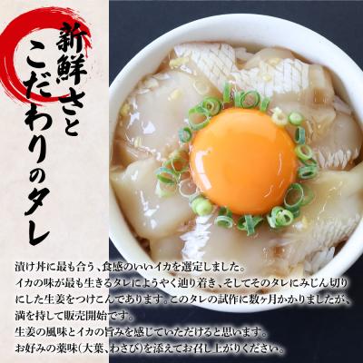 ふるさと納税 田野町 【四国一小さなまち】これが魚屋の漬け丼だ!〜イカ〜 80g×6P |  | 01