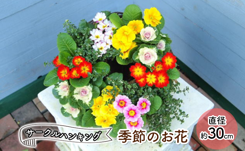 季節のお花・サークルハンギング