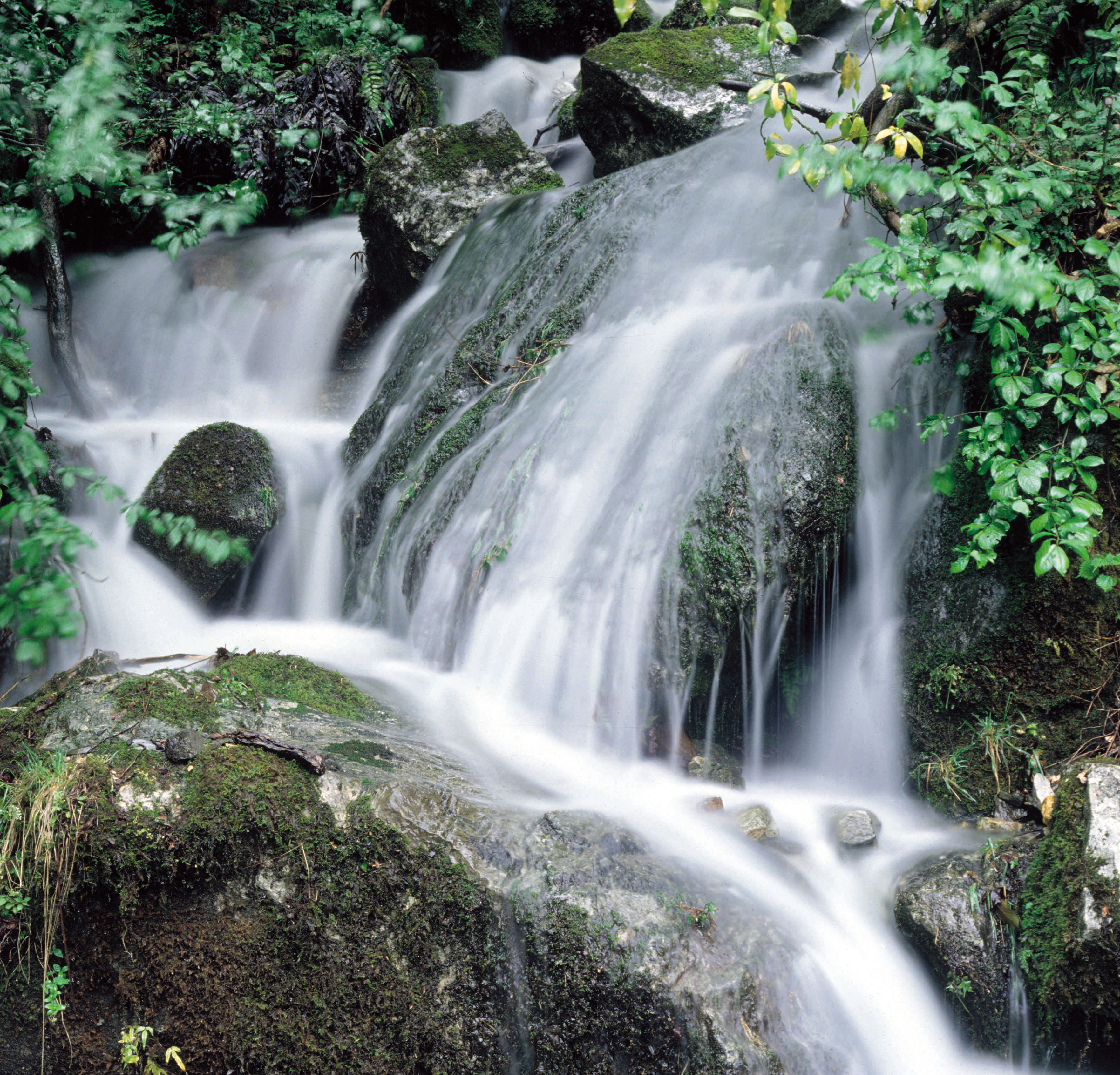 兵庫県・多可町の清流杉原川の名水を使用。醤油の口当たりが柔らかく仕上がります。