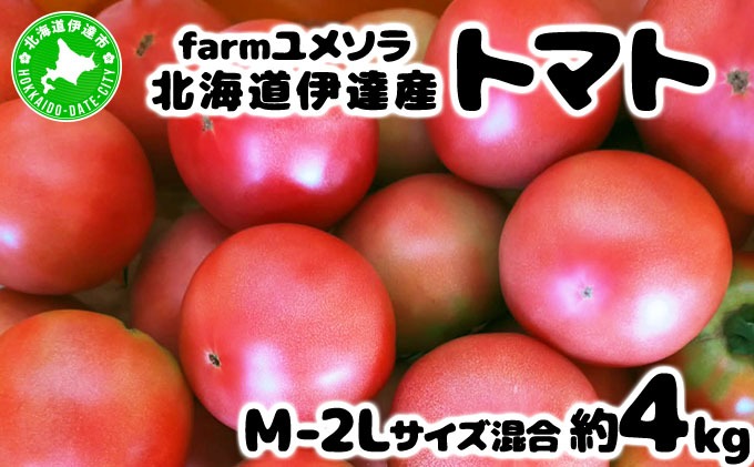 ◆2026年7月から順次出荷◆ farmユメソラ 大玉 トマト 約4kg【famy-001】