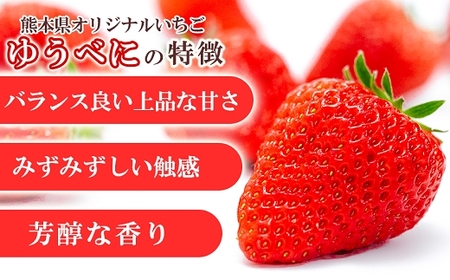 【先行予約】農家直送 南関町産いちご(ゆうべに) 計2kg 8パック 家庭用 1月上旬～3月末 順次発送　Sから3Lまで混在