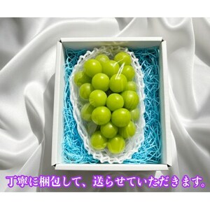 【2026年先行予約】シャインマスカット 1房 800g 小さな農家のこだわりシャイン【配送不可地域：離島】【1699610】