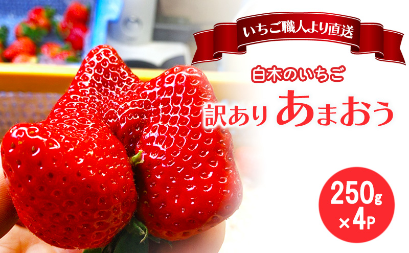 訳あり いちご いちご職人 白木のいちご あまおう ふぞろいな「いちご」たち 250g×4P 訳アリ イチゴ 苺 果物 デザート ※配送不可：沖縄・離島