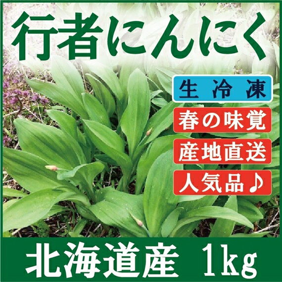 【ふるさと納税】≪先行予約≫ 「寄付額改定↓ 」北海道岩見沢市産 令和7年産 行者にんにく葉(冷凍) 1kg【09118】
