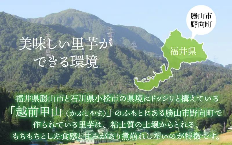 里芋 令和8年産 かつやま里芋 5kg 先行予約 [A-005013]