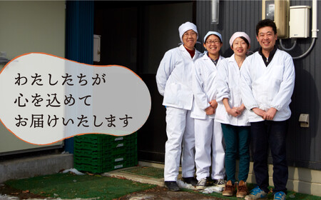 【定期便6ヶ月／毎月2回発送】ひころいちファーム定番野菜セット 計12回お届け （農家の気持ち体験型野菜の詰め合わせ） 岩手 陸前高田 農業