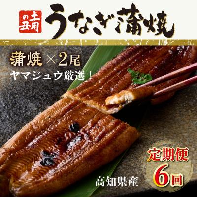 ふるさと納税 室戸市 【6回定期便】ヤマジュウ厳選! 国産 ウナギ 蒲焼き 2尾(1尾あたり約160g〜170g)×6回