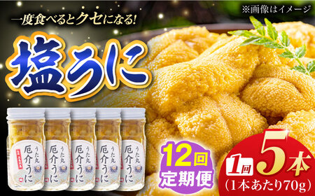 【全12回定期便】厄介うに ガンガゼの塩うに 70g×5本 / ウニ 雲丹 五島市 / うた丸[PGA008]