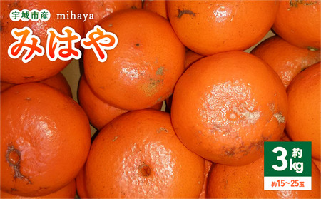 【先行受付】　みかん 柑橘 みはや 約3kg（15～25玉）　【2026年1月上旬～2026年3月上旬頃順次発送予定】