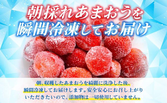 福岡県産 冷凍あまおう500g(250g×2個) 500g