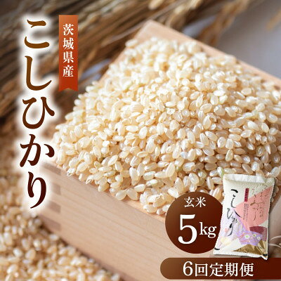 【ふるさと納税】【毎月定期便】こだわりのコシヒカリ 玄米 5kg | 茨城県全6回【4094553】
