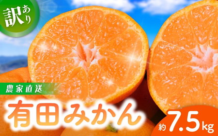 【訳あり】農家直送 有田みかん 約7.5kg ご家庭用 サイズ混合 ※2025年11月中旬2026年1月中旬までに順次発送予定（お届け日指定不可）※北海道・沖縄・離島への配送不可訳あり  訳あり 温州みかん 有機質肥料100% 【nuk157D】