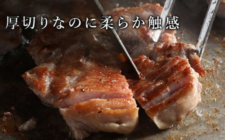 訳あり 厚切り 牛タン 約500g  塩味 軟化加工 牛たん 塩たん 牛 牛肉 肉 お肉 タン 冷凍 焼肉 配送不可:離島 