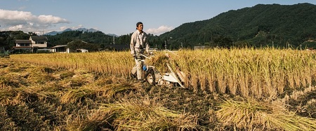 【令和5年度】そらくも農場のミネラルたっぷりどんぐり米（白米5kg）