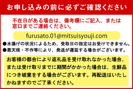 ＜2024年5月から順次発送＞ 北海道産 サクラマス 2～2.5kg まるごと 1尾 ＜ 予約商品 ＞