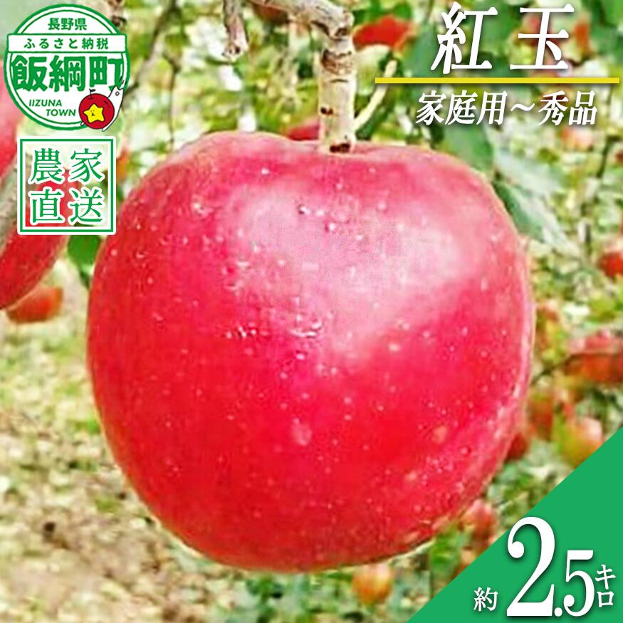 【ふるさと納税】 りんご 紅玉 2.5kg 家庭用〜秀 やまじゅうファーム 沖縄県への配送不可 〔 果物 フルーツ 林檎 長野 予約 農家直送 10キロ 13000円 〕【令和8年度収穫分】 発送：2026年10月上旬〜