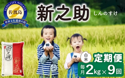 【令和8年産新米 9ヶ月】佐渡島産 新之助 白米 2kg