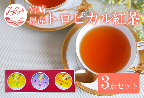 トロピカル紅茶 3点 セット 国産 宮崎県産 紅茶 紅茶セット 朝色紅茶 和紅茶 お茶 マンゴー ブルーベリー 日向夏 フルーツトロピカルフルーツ ノンカフェイン 飲み比べ 飲みくらべ セット ティータイム ギフト