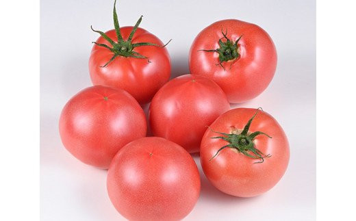 志宝トマト 約 4kg [モアショップヤマモト 石川県 宝達志水町 38601137] トマト とまと 野菜 食品 石川県産