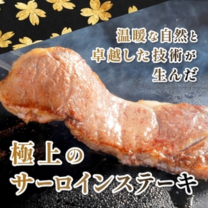 【鹿児島県産】4等級以上黒毛和牛 サーロインステーキ 360g(180g×2)(枕崎市)A8-109_肉 ステーキ 牛肉 ビーフステーキ  肉 黒毛和牛 牛肉 _【配送不可地域：離島】【1616199
