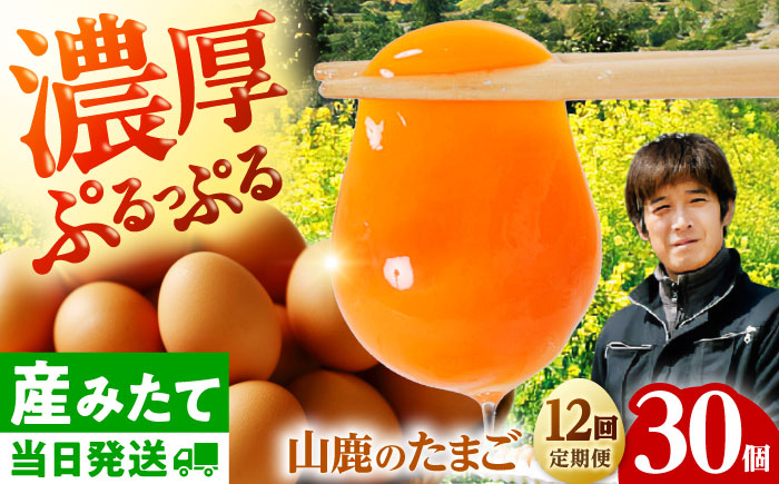 
            【全12回定期便】 たまご 30個 約2kg【マツヤマエッグファーム】 [ZAW008]
          