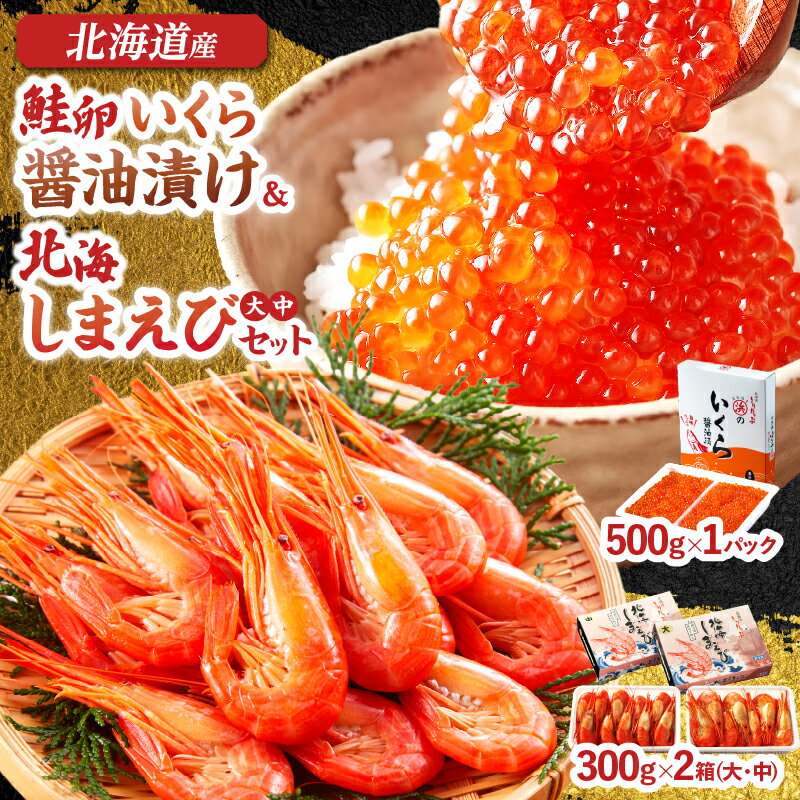 【ふるさと納税】【レビューキャンペーン対象】いくら 醤油漬け 鮭卵 北海しまえび 大 中 サイズ 合計1.1kg セット 食品 加工品 国産 魚介類 魚貝類 海の幸 海産物 水産物 希少 ご飯のお供 おかず 弁当 おつまみ 魚卵 エビ ギフト 贈り物 贈答 冷凍 北海道 浜中町 送料無料