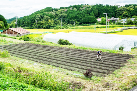 農家の手作りドリンクセット トマト ジュース 化粧箱入(1L×2本)3セット／ リコピン 野菜ジュース 飲料 とまと 贈り物 ギフト 畑工房気まま屋 奈良県 宇陀市 ふるさと納税