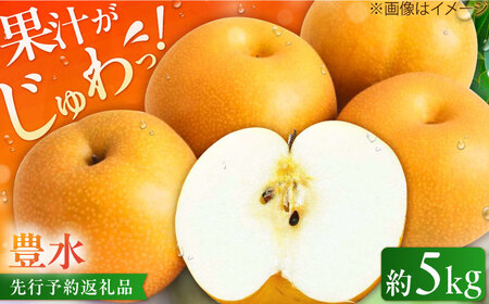 梨 豊水 約5kg 梨【★先行予約 8月下旬より発送】[AFAB023]