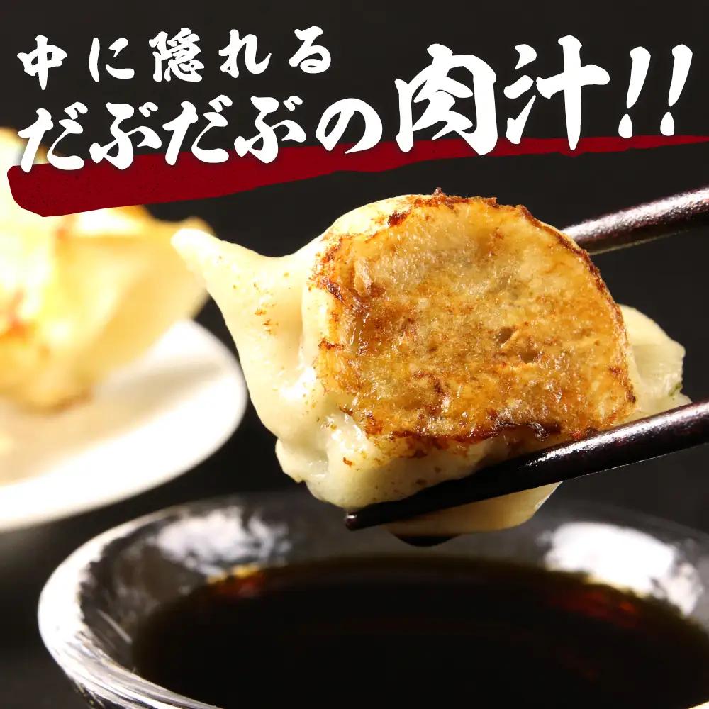 だぶだぶの肉汁をすすりたくなる餃子 食べ比べセット 40個（プレーン・チーズ 各20個） BE016