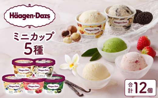 【お中元】ハーゲンダッツ『定番ミニカップ5種セット(合計12個)』アイスクリーム アイス スイーツ デザート_100303-R7oc