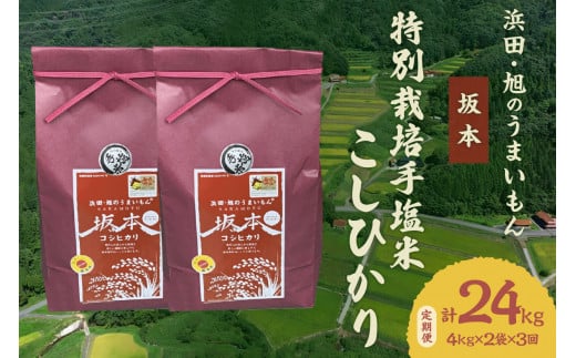 【定期便】【令和6年産】浜田・旭のうまいもん「坂本」特別栽培手塩米こしひかり4kg×2袋×3回 米 お米 こしひかり 特別栽培米 定期 定期便 3回 精米 白米 ごはん 新生活 応援 準備 お取り寄せ 特産 【1036】