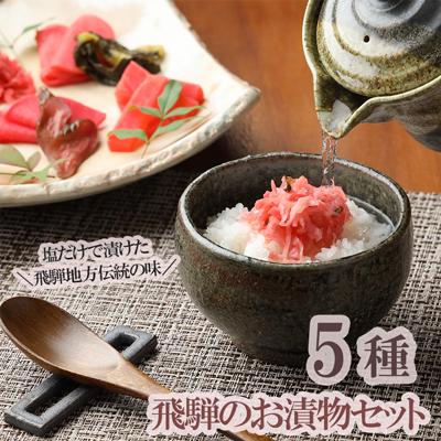 ふるさと納税 下呂市 飛騨のお漬物 5種類セット 漬け物 飛騨 詰め合わせ【15-2】