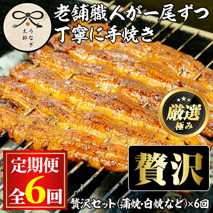 【ふるさと納税】＜定期便・全6回(連続)＞鹿児島県産うなぎの贅沢セット(蒲焼き・白焼き・きざみ鰻など) うなぎ 高級 ウナギ 鰻 国産 たれ 鹿児島 蒲焼き 白焼き きざみ鰻 焼肝串 【うなぎ太郎】【3003712b】