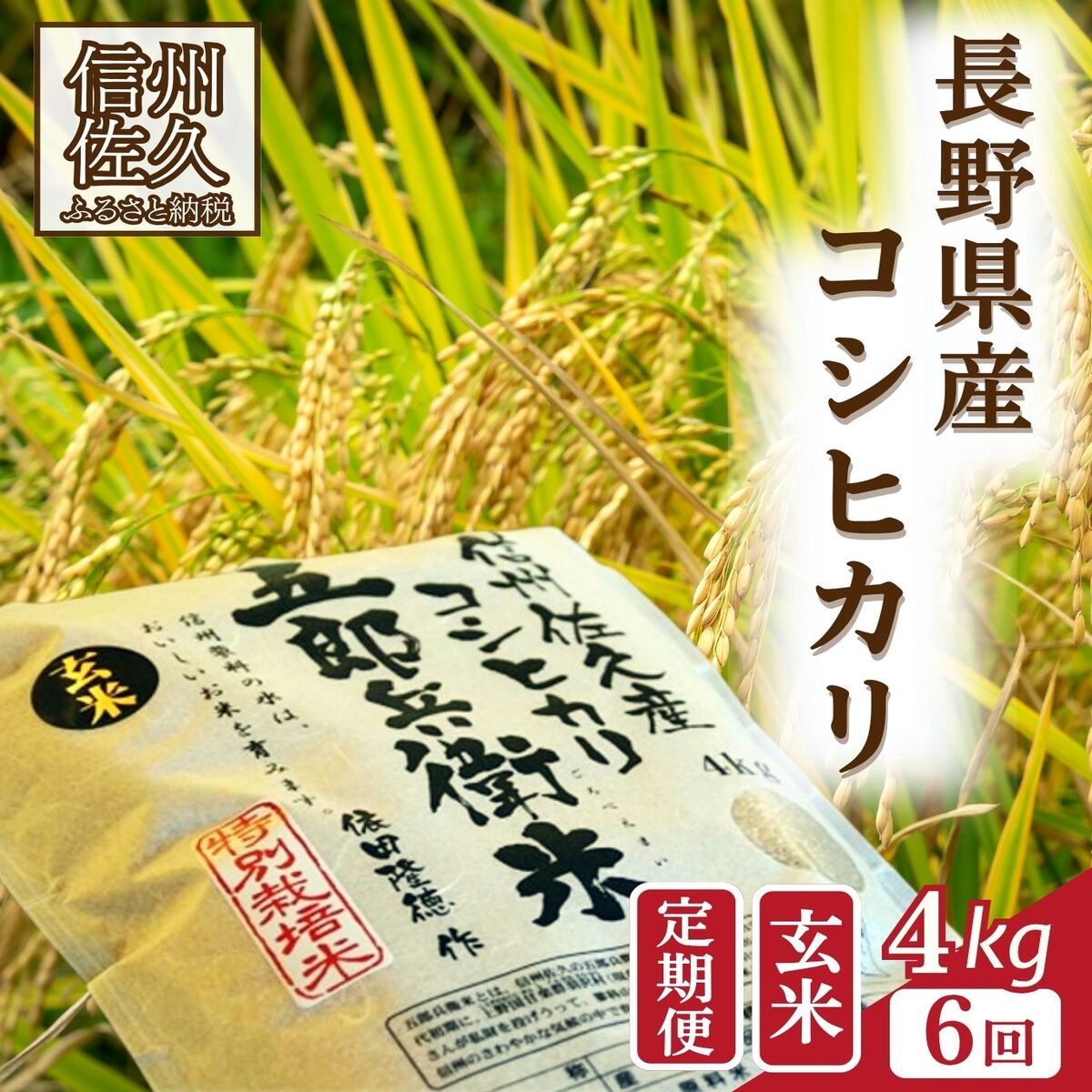 【ふるさと納税】【令和7年産・玄米4kg×6カ月定期便】特別栽培米 五郎兵衛米〈2025年9月中旬頃～順次発送〉 先行予約 新米 信州 こしひかり【 米 コメ 玄米 お米 こめ おこめ 備蓄品 コシヒカリ 長野県 佐久市 】
